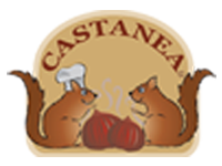 Castanea